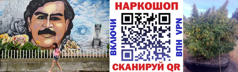 Наркошоп купить ГАШИШ  Конопля  Галлюциногенные грибы  Меф  Cocaine  Старая Русса