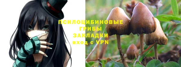 герыч Горняк