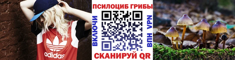 Галлюциногенные грибы мицелий  Купить  Старая Русса 